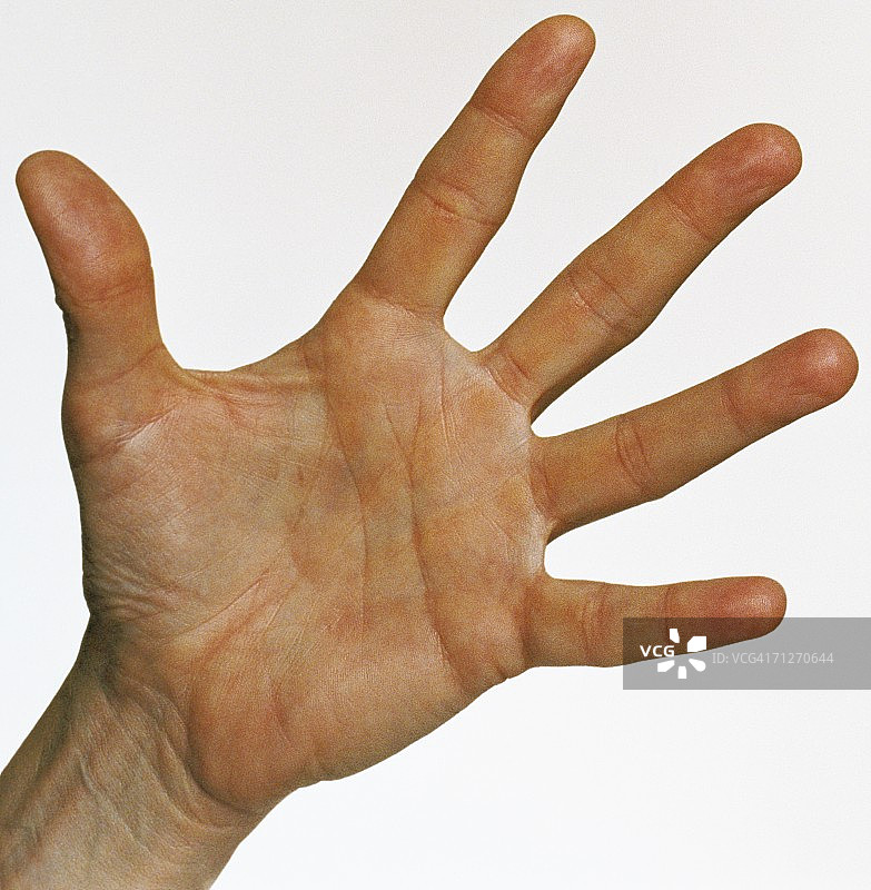 白色背景上的手图片素材