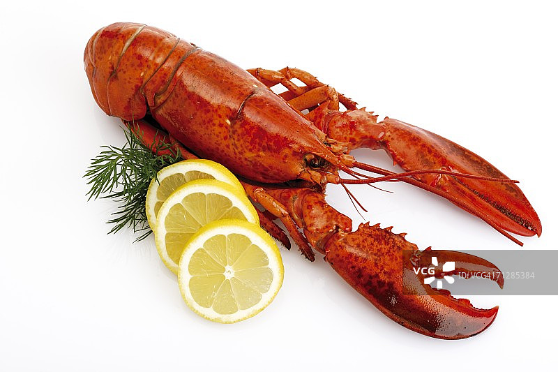 搭配柠檬片的龙虾图片素材