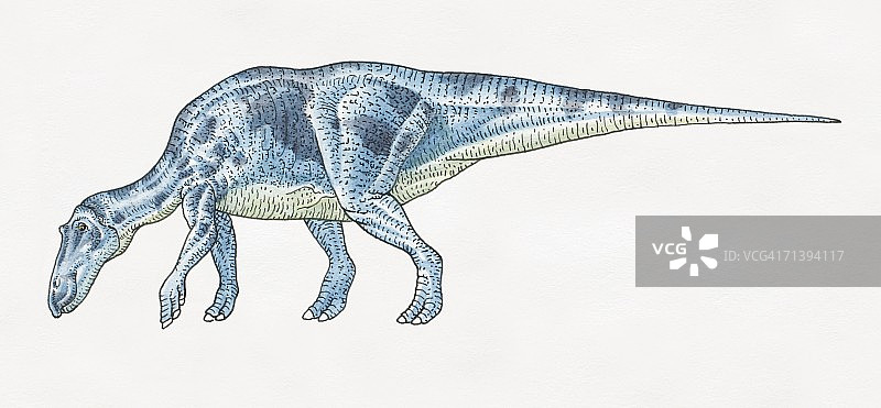 麦asa龙侧视图图片素材