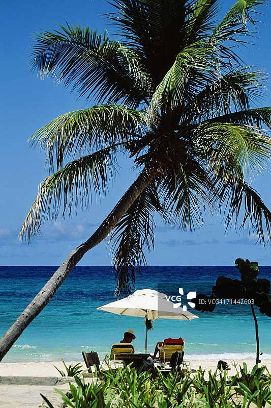 情侣坐在维尔京群岛海滩的凉棚下图片素材