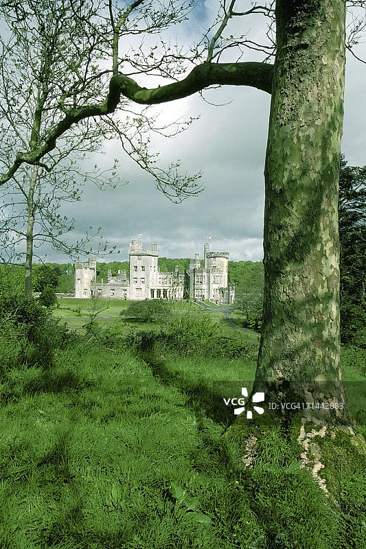 爱尔兰共和国香农地区德罗莫兰城堡的树木特写图片素材