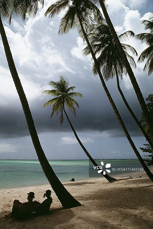 多巴哥信鸽岬的阴天海滩美景图片素材