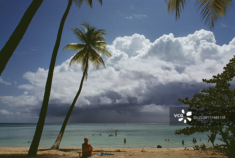 阳光明媚的日子里，多巴哥加勒比海信鸽角的风景海滩图片素材