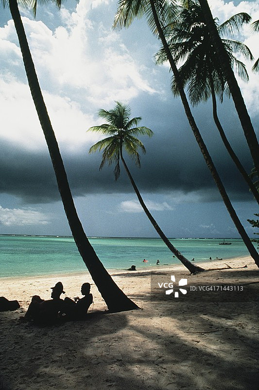 多巴哥信鸽岬的阴天海滩风景（加勒比海）图片素材