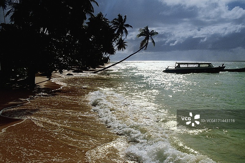 多巴哥信鸽岬的阴天海滩风景（加勒比海）图片素材