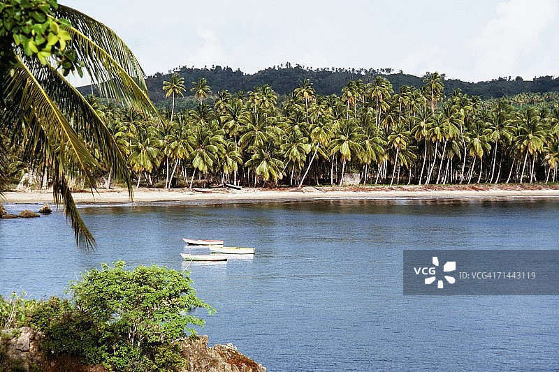 加勒比托巴哥棕榈树海滩图片素材