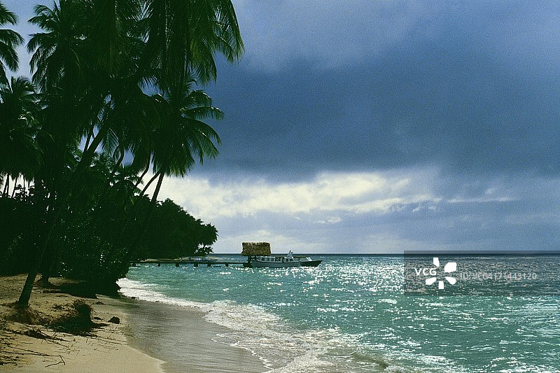 加勒比托巴哥棕榈树海滩图片素材