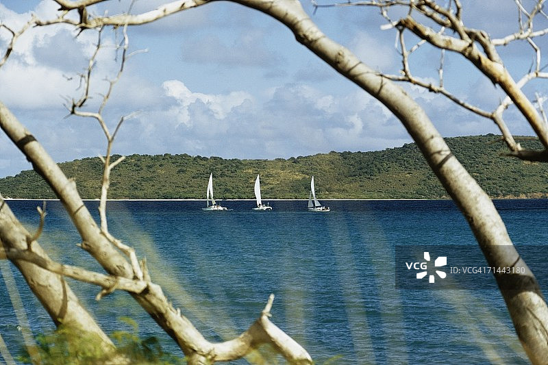 美属维尔京群岛圣克罗伊岛海岸附近的帆船图片素材