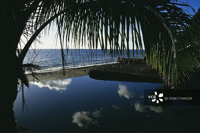 马提尼克法兰西堡港附近的泻湖风光图片素材