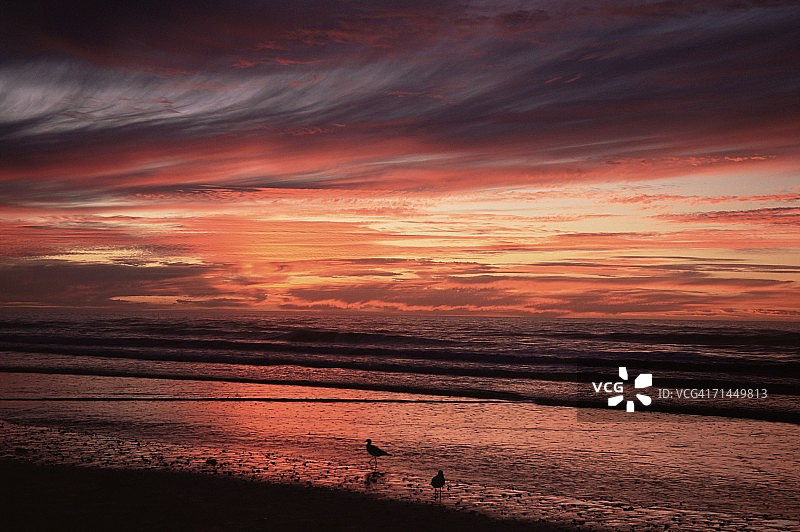 澳大利亚西部八十英里海滩图片素材