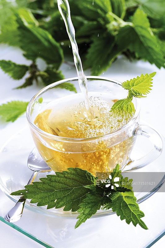 荨麻茶图片素材