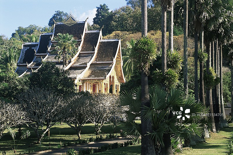 老挝琅勃拉邦寺庙和树木，联合国教科文组织世界遗产，东南亚图片素材