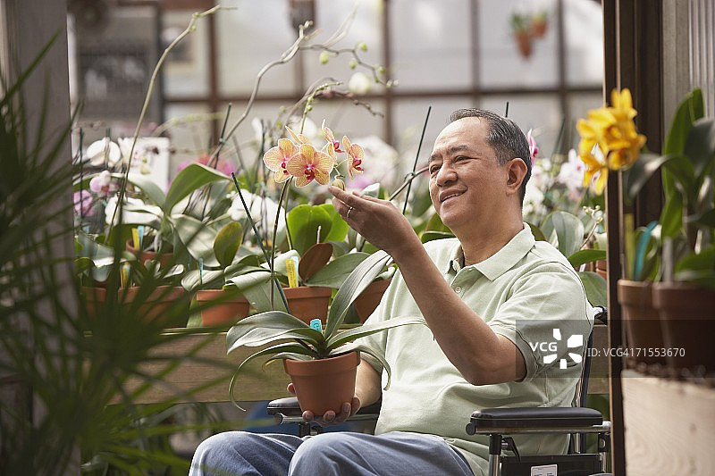 坐在轮椅上的年长的亚洲男人在温室里图片素材