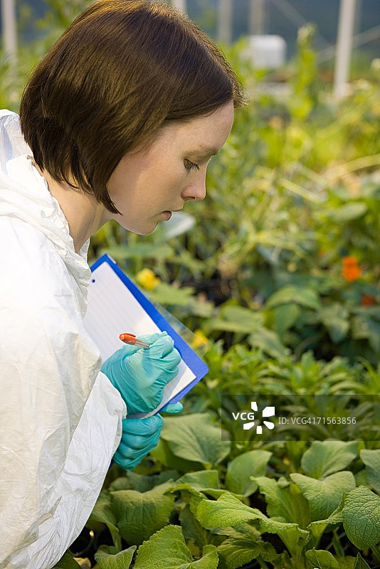 科学家检查植物图片素材