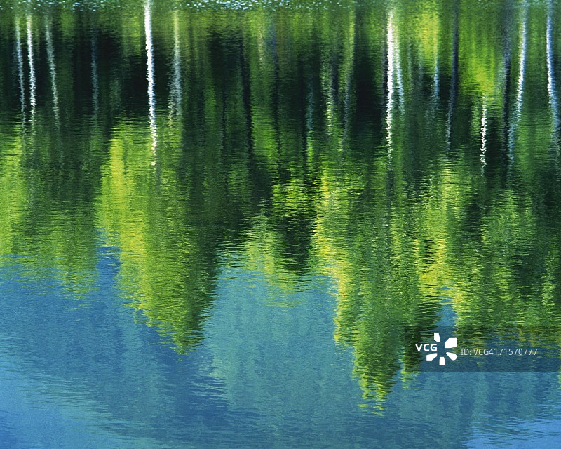 池塘水面特写图片素材