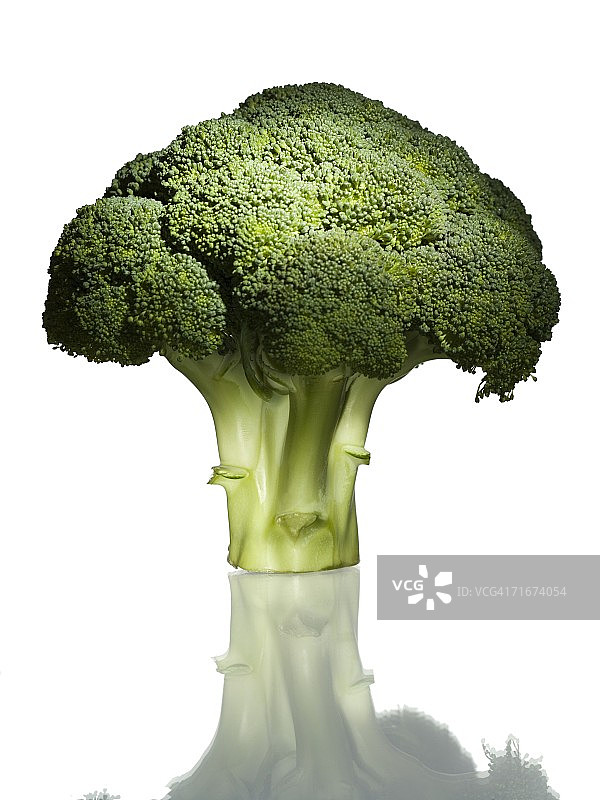 西兰花小花特写图片素材