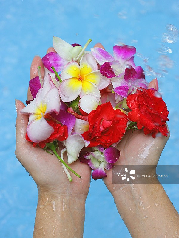 女人手持鲜花的高角度景观图片素材