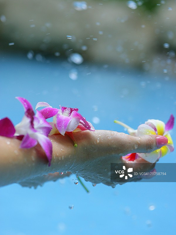 女人手捧鲜花的特写图片素材
