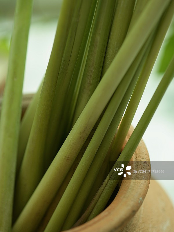 特写：碗里的柠檬草图片素材
