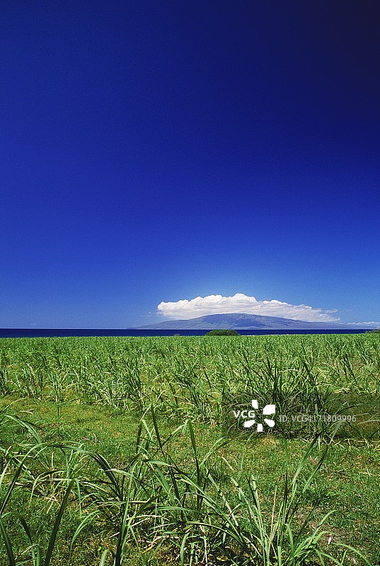 美国夏威夷的田野全景图片素材