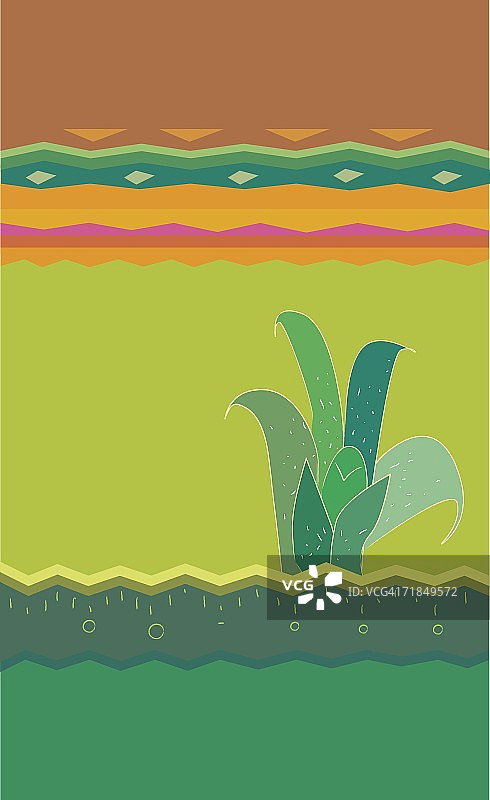 美洲原住民图案上的仙人掌植物特写图片素材