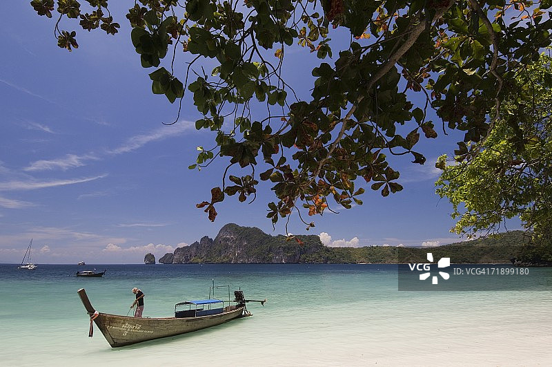 泰国披披岛猴子海滩图片素材