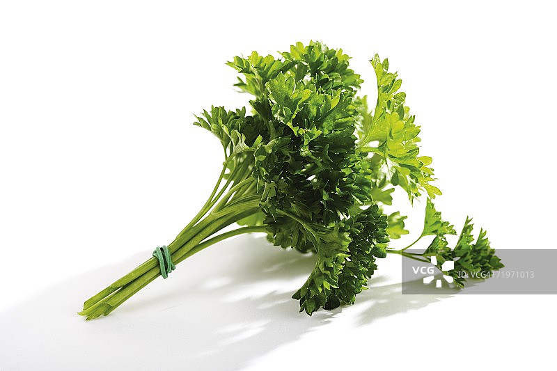 欧芹图片素材