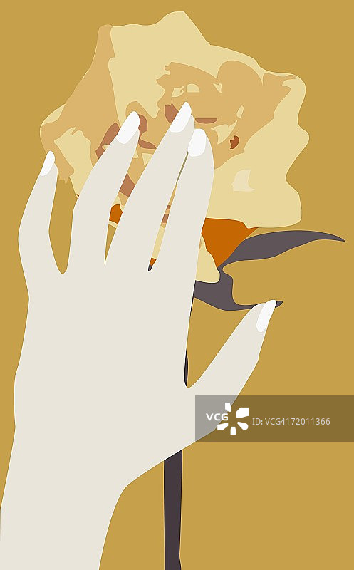 触摸玫瑰花的手部特写图片素材