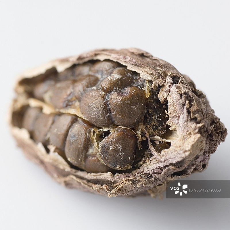 黑豆蔻特写图片素材