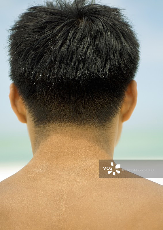 男人的头部和肩膀后视图图片素材