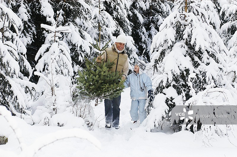 奥地利萨尔茨堡州：父子（6-7岁）搬运圣诞树图片素材