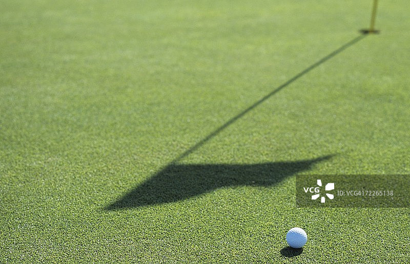 高尔夫球场上的高尔夫球，特写图片素材