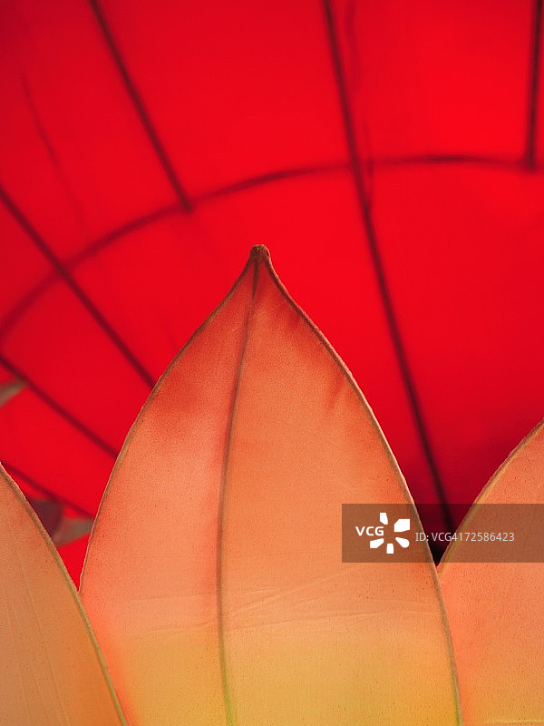 纸花装饰特写图片素材