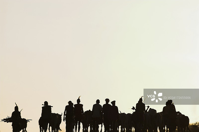 哈默人在图尔米，下奥莫山谷，埃塞俄比亚，非洲公牛跳跃仪式后返回图片素材