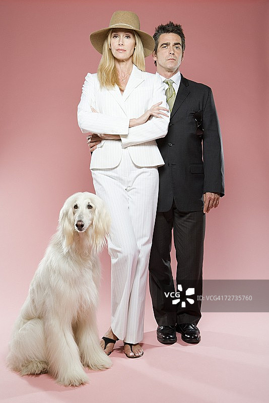 情侣与阿富汗猎犬图片素材