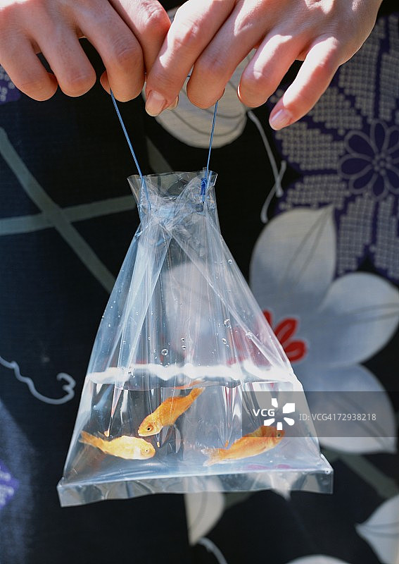 袋子里的金鱼图片素材