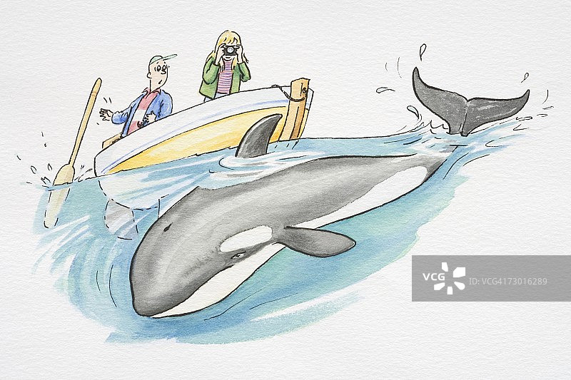 卡通：船下的虎鲸图片素材