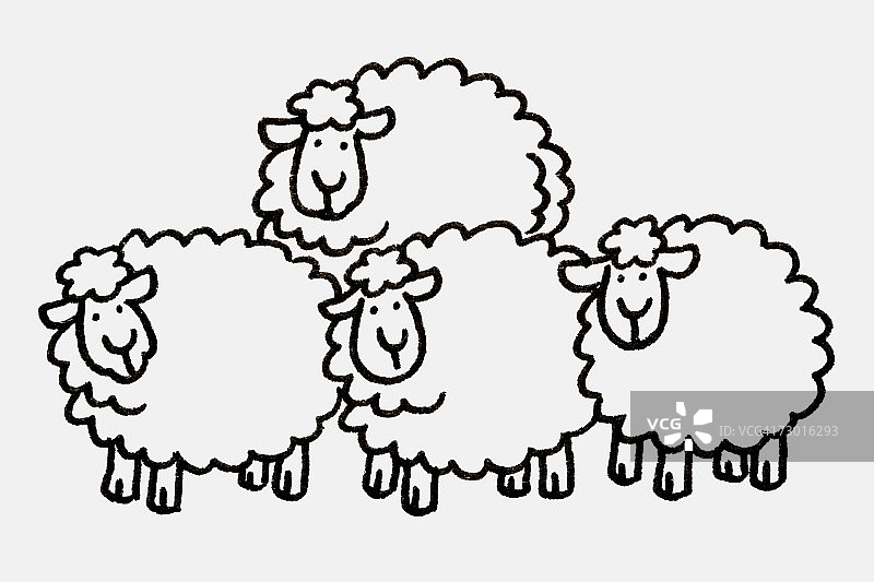 四只绵羊挤在一起向前看图片素材