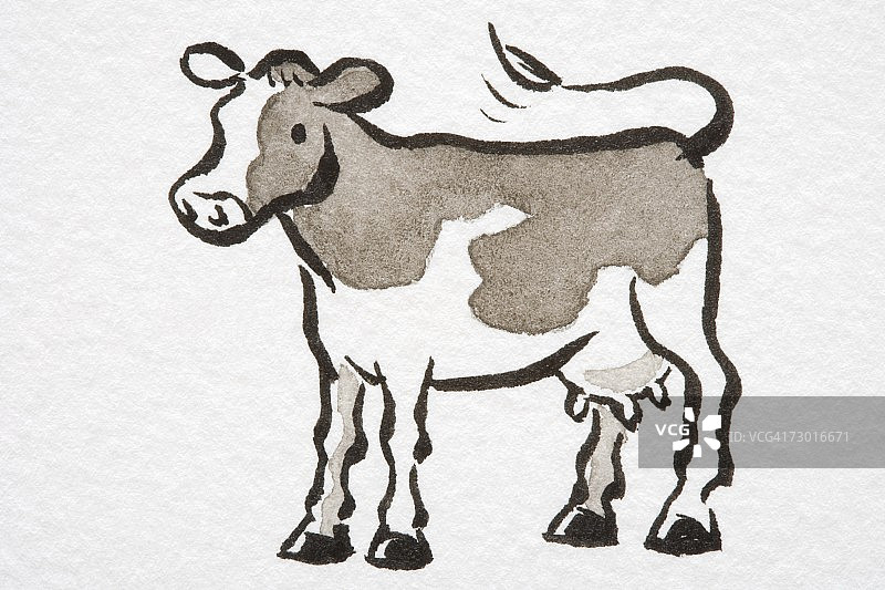 站立的牛插画（尾巴翘起，侧视图）图片素材