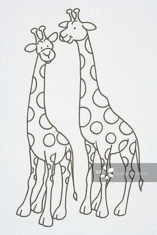 微笑的长颈鹿图片素材