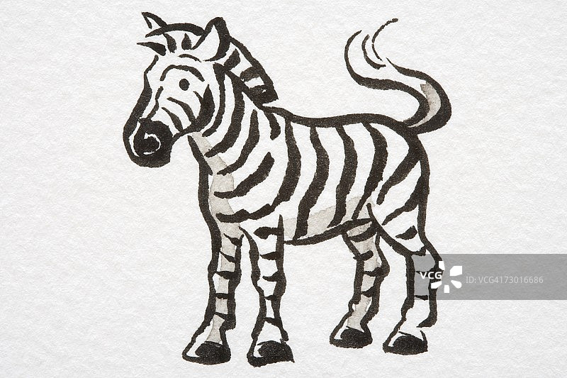 插画：尾巴卷曲的斑马侧视图图片素材