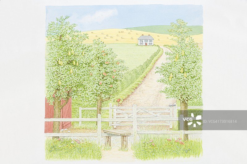 插画：乡村小路旁果树与木门，背景是丘陵和干草捆图片素材