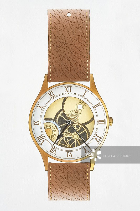 罗马数字棕色皮带机械腕表内部结构插画图片素材