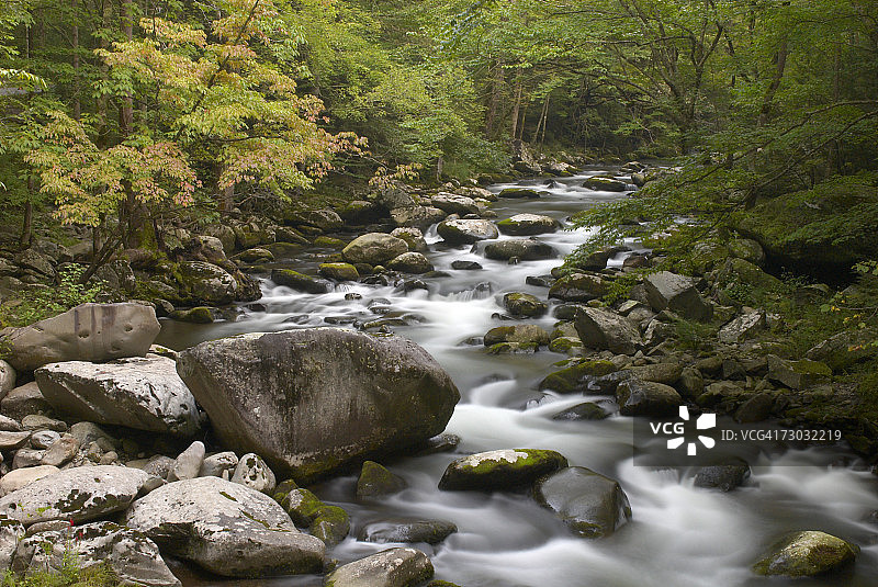森林中的溪流，长时间曝光图片素材
