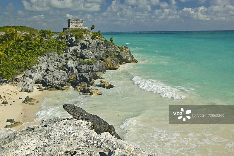 图卢姆玛雅遗址风神庙遗址的蜥蜴特写图片素材