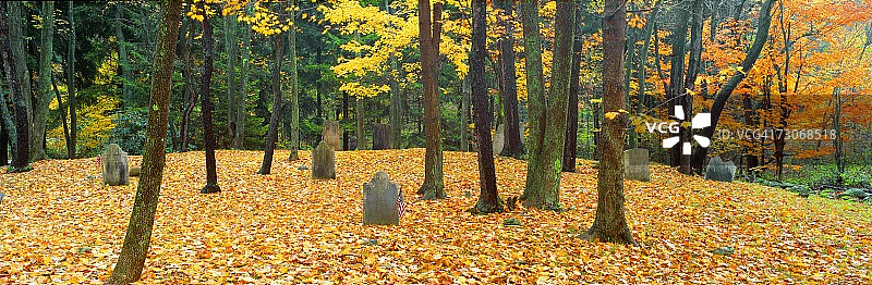 纽约州奥斯特利茨革命战争公墓中诺亚·菲尔普斯的坟墓图片素材