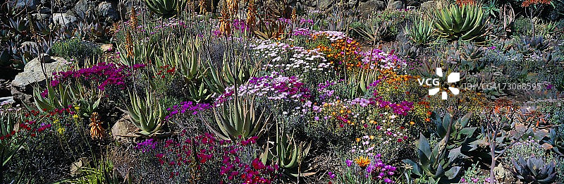 加州奥海地球关注中心的春日花园图片素材