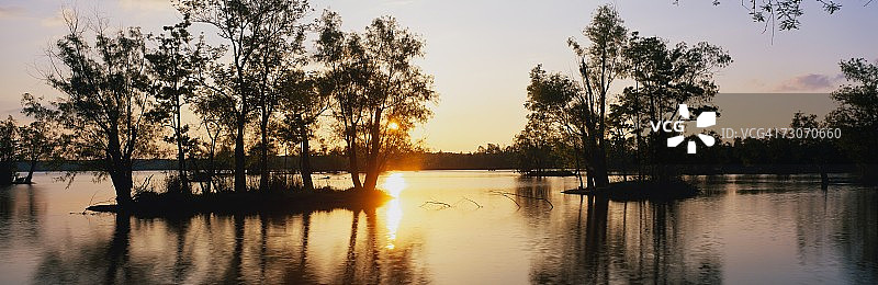 福斯波因特湖州立公园日落时的野生动物保护区，湖泊和岛屿周围都生长着柏树图片素材