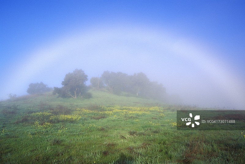 加利福尼亚州奥海田野中的彩虹图片素材