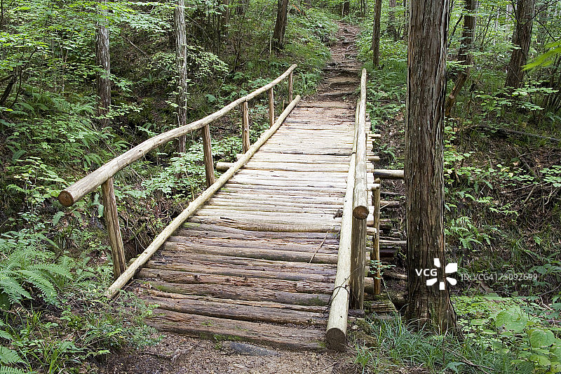 通往森林上坡小路的木桥图片素材